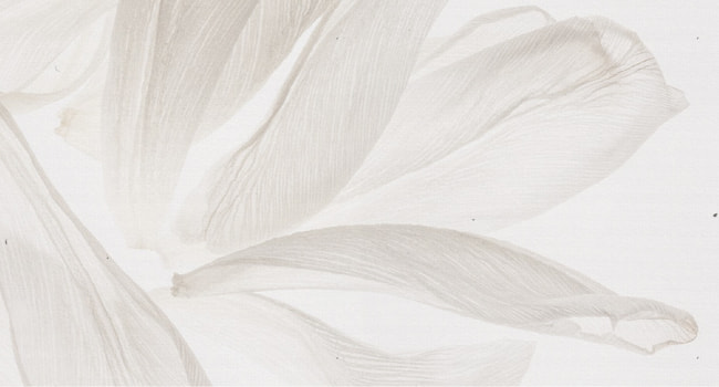 Invitație de nuntă online Model N8 – invitație digitală personalizată cu RSVP