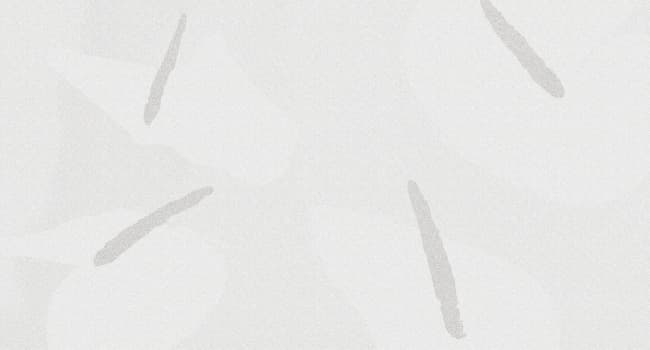 Invitație de nuntă online Model N9 – invitație digitală personalizată cu RSVP